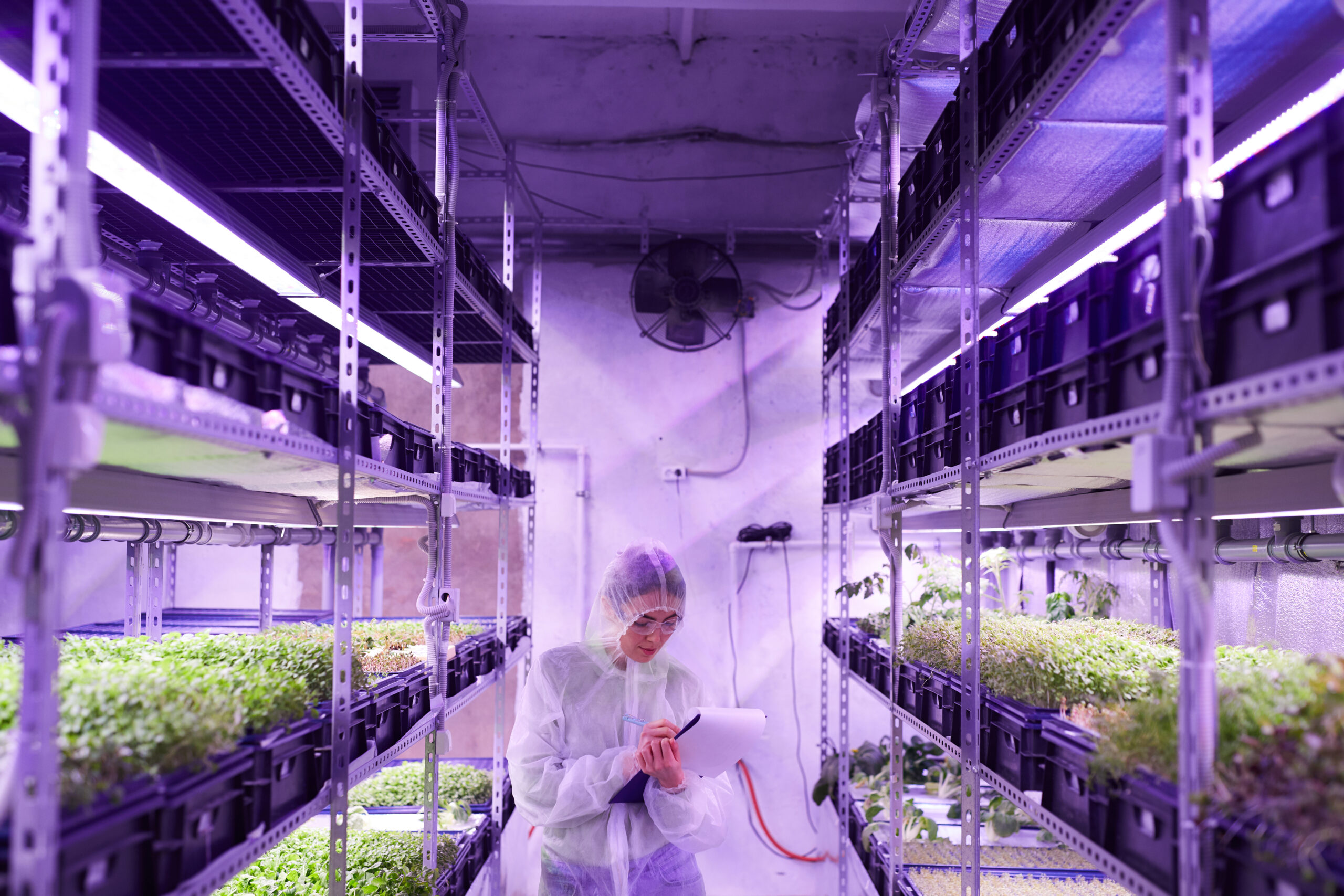 Wide angle portrait of female agricultural engineer writing on clipboard while standing between shelves in plant nursery greenhouse lit by blue light, copy space